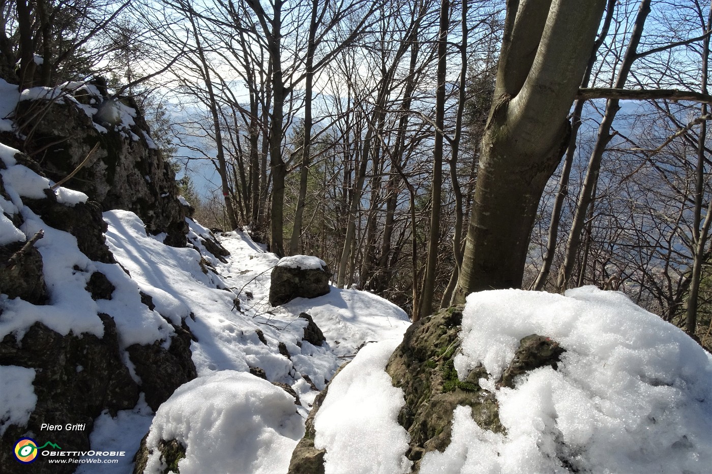 83 Sulla neve pomeridiana si cammina meglio.JPG